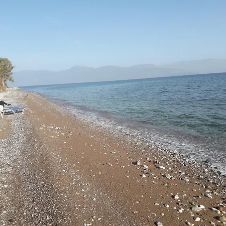 Maison De La * Témeni